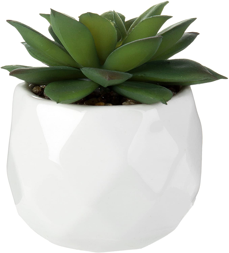  Assorted Realistic Succulent Plants in Modern Geometric Ceramic Pots, Set of 4