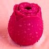 Adult Rose  Stimulation Toy