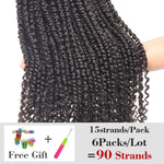 Xtrend 6packs 22inch Pre-twisted Passion Twist Hair - Neshaí Fashion & More