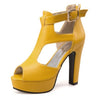 Thick Heel Peep toe platform  sandals - Neshaí Fashion & More