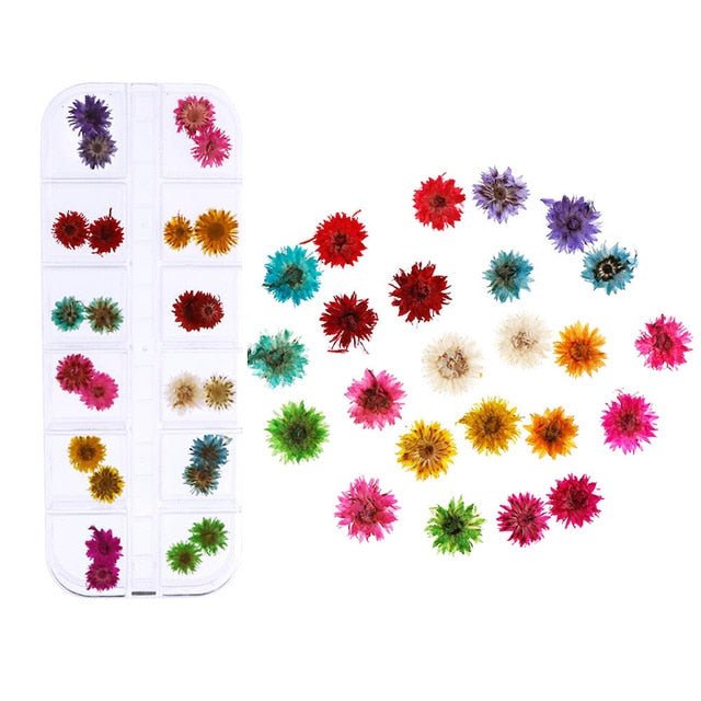 1Box Mix Dried Flowers Nail Decoration - Neshaí Fashion & More